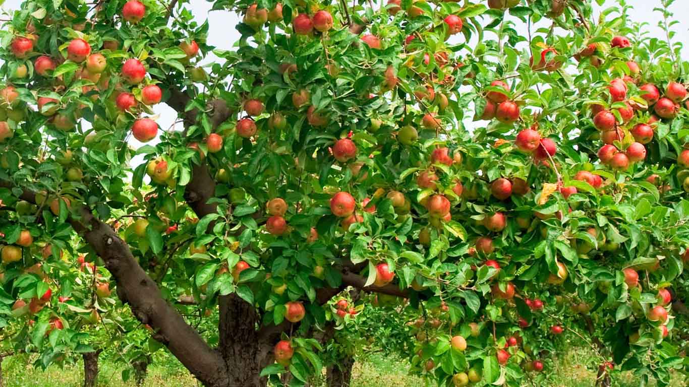 Zeit für einen Mutausbruch